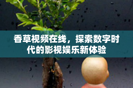 香草视频在线，探索数字时代的影视娱乐新体验