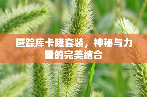 匿踪库卡隆套装，神秘与力量的完美结合