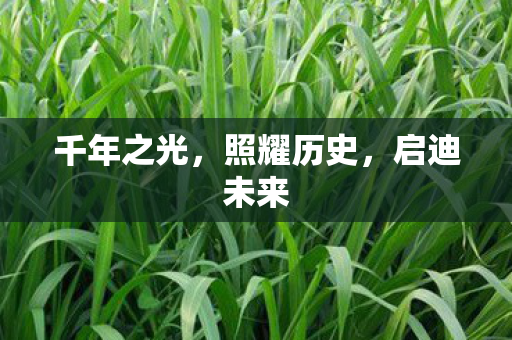千年之光,照耀历史,启迪未来 千年之光,照耀历史,启迪未来