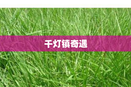 千灯镇奇遇