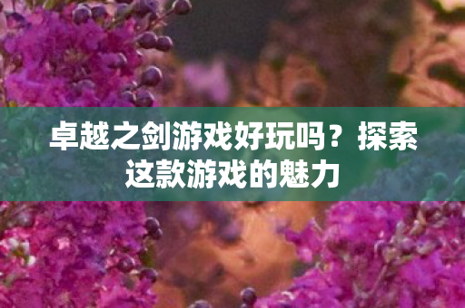 卓越之剑游戏好玩吗?探索这款游戏的魅力 卓越之剑游戏好玩吗?探索这款游戏的魅力