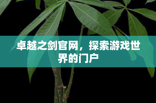 卓越之剑官网，探索游戏世界的门户