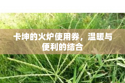 卡坤的火炉使用券，温暖与便利的结合