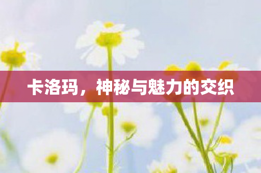 卡洛玛,神秘与魅力的交织 卡洛玛,神秘与魅力的交织