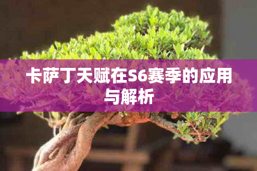 卡萨丁天赋在S6赛季的应用与解析 卡萨丁天赋在S6赛季的应用与解析