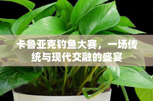 卡鲁亚克钓鱼大赛,一场传统与现代交融的盛宴 卡鲁亚克钓鱼大赛,一场传统与现代交融的盛宴