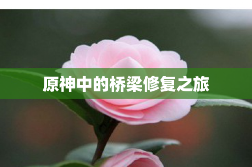 原神中的桥梁修复之旅