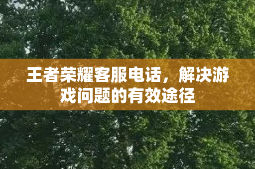 王者荣耀客服电话，解决游戏问题的有效途径