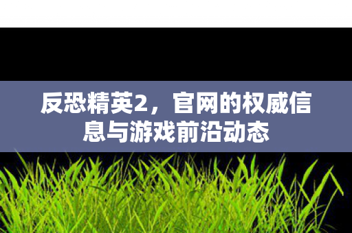 反恐精英2,官网的权威信息与游戏前沿动态 反恐精英2,官网的权威信息与游戏前沿动态