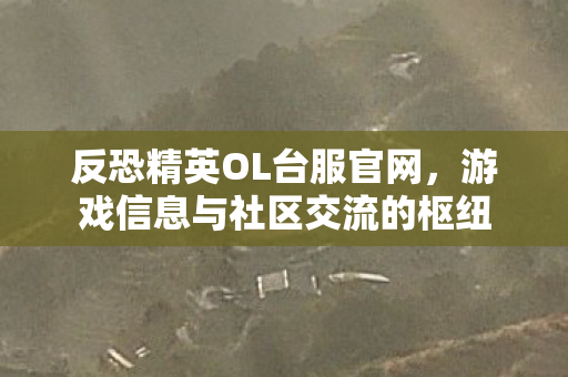 反恐精英OL台服官网,游戏信息与社区交流的枢纽 反恐精英OL台服官网,游戏信息与社区交流的枢纽