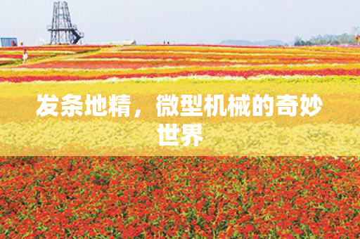 发条地精,微型机械的奇妙世界 发条地精,微型机械的奇妙世界
