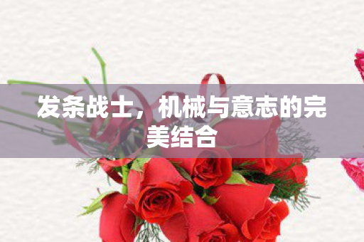 发条战士,机械与意志的完美结合 发条战士,机械与意志的完美结合