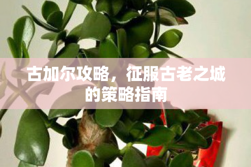 古加尔攻略,征服古老之城的策略指南 古加尔攻略,征服古老之城的策略指南