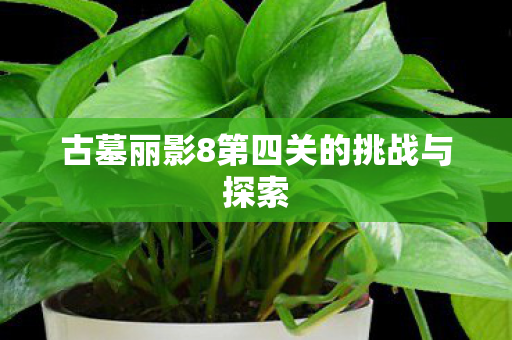 古墓丽影8第四关的挑战与探索 古墓丽影8第四关的挑战与探索