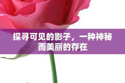 探寻可见的影子,一种神秘而美丽的存在 探寻可见的影子,一种神秘而美丽的存在
