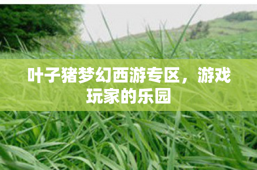 叶子猪梦幻西游专区，游戏玩家的乐园