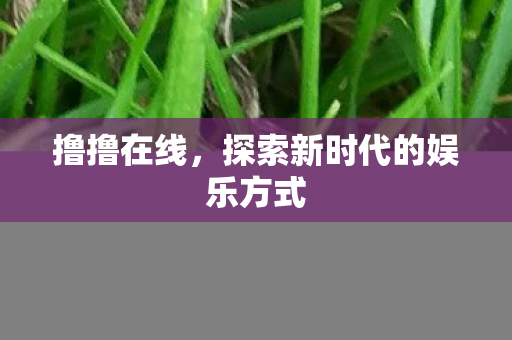 撸撸在线,探索新时代的娱乐方式 撸撸在线,探索新时代的娱乐方式