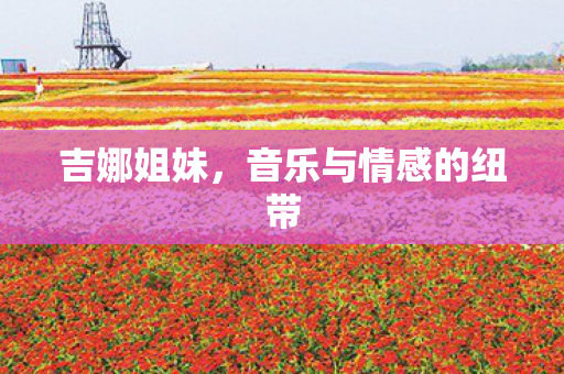 吉娜姐妹,音乐与情感的纽带 吉娜姐妹,音乐与情感的纽带