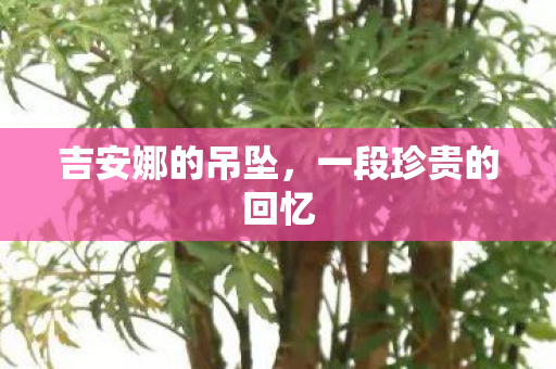 吉安娜的吊坠,一段珍贵的回忆 吉安娜的吊坠,一段珍贵的回忆