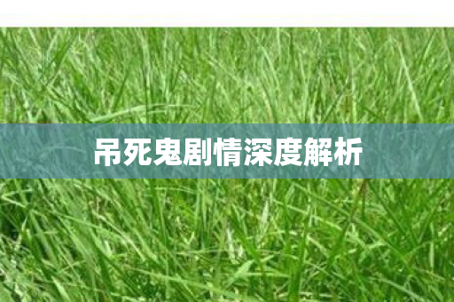 吊死鬼剧情深度解析 吊死鬼剧情深度解析