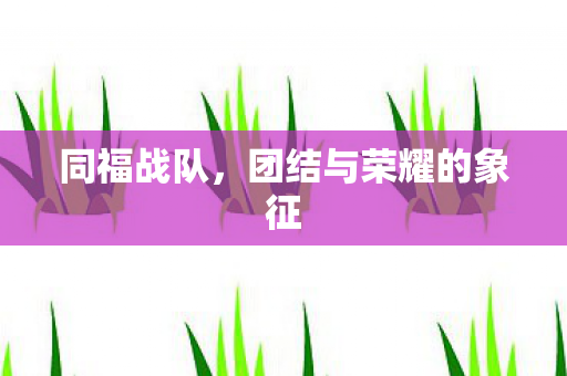 同福战队,团结与荣耀的象征 同福战队,团结与荣耀的象征