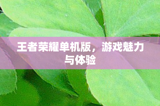 王者荣耀单机版，游戏魅力与体验