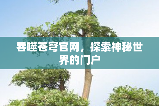 吞噬苍穹官网，探索神秘世界的门户