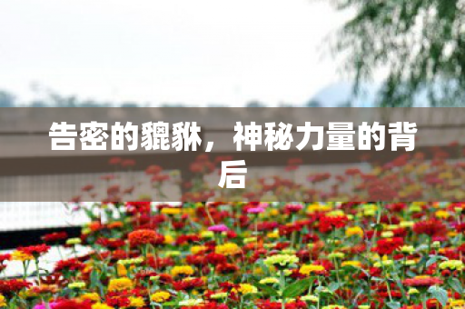 告密的貔貅,神秘力量的背后 告密的貔貅,神秘力量的背后