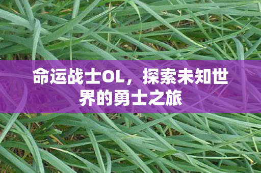 命运战士OL,探索未知世界的勇士之旅 命运战士OL,探索未知世界的勇士之旅