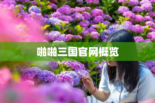 啪啪三国官网概览