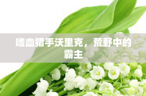 嗜血猎手沃里克,荒野中的霸主 嗜血猎手沃里克,荒野中的霸主