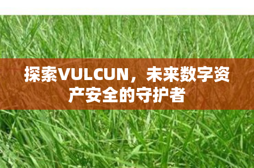 探索VULCUN,未来数字资产安全的守护者 探索VULCUN,未来数字资产安全的守护者