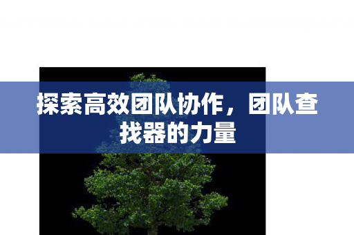 探索高效团队协作,团队查找器的力量 探索高效团队协作,团队查找器的力量