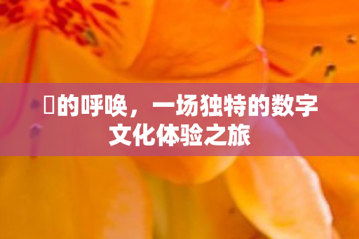 囧的呼唤,一场独特的数字文化体验之旅 囧的呼唤,一场独特的数字文化体验之旅