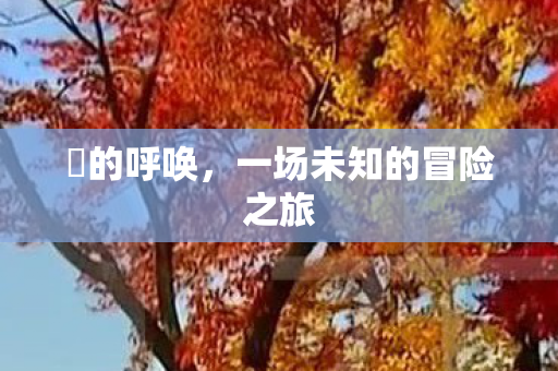 囧的呼唤,一场未知的冒险之旅 囧的呼唤,一场未知的冒险之旅