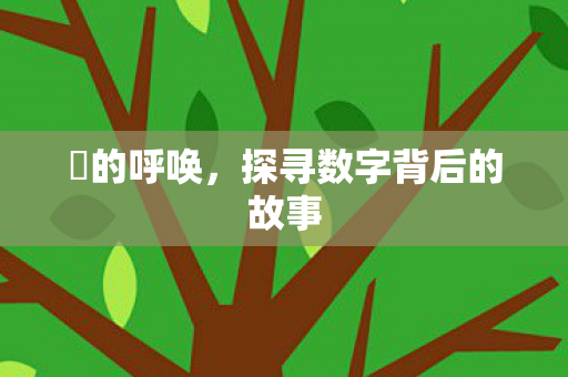 囧的呼唤，探寻数字背后的故事
