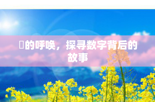 囧的呼唤,探寻数字背后的故事 囧的呼唤,探寻数字背后的故事