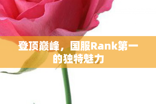 登顶巅峰，国服Rank第一的独特魅力