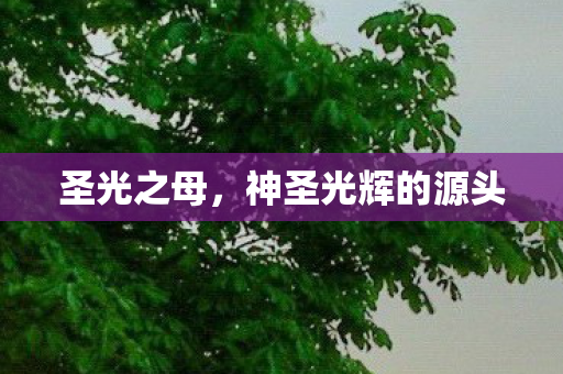 圣光之母，神圣光辉的源头
