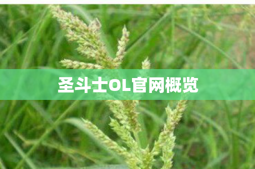 圣斗士OL官网概览 圣斗士OL官网概览