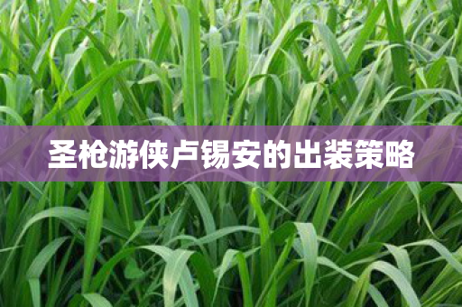 圣枪游侠卢锡安的出装策略