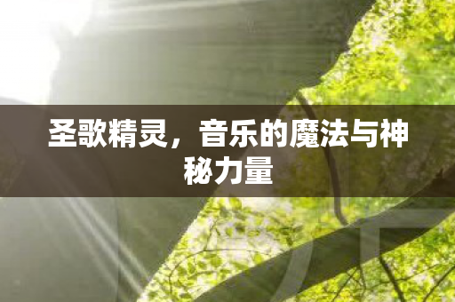 圣歌精灵,音乐的魔法与神秘力量 圣歌精灵,音乐的魔法与神秘力量