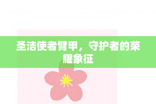 圣洁使者臂甲,守护者的荣耀象征 圣洁使者臂甲,守护者的荣耀象征