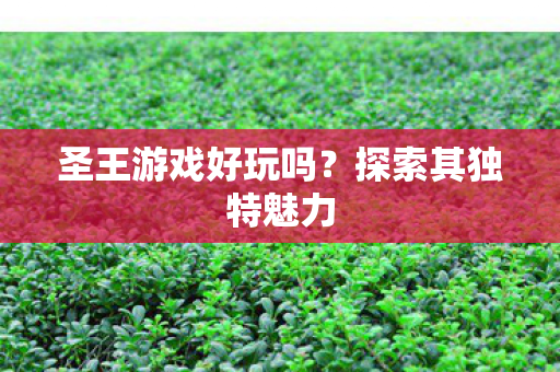 圣王游戏好玩吗？探索其独特魅力