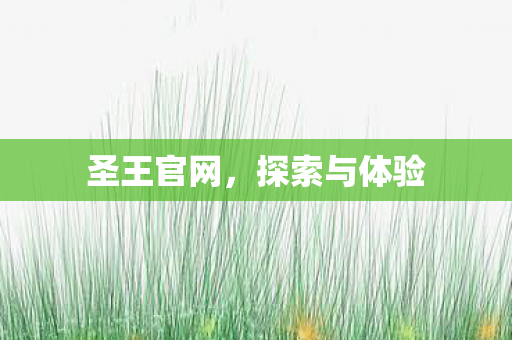 圣王官网，探索与体验