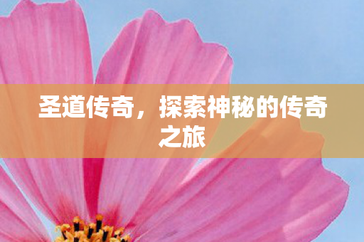 圣道传奇，探索神秘的传奇之旅