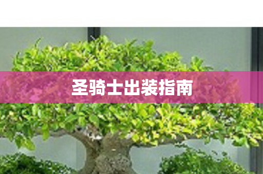 圣骑士出装指南 圣骑士出装指南