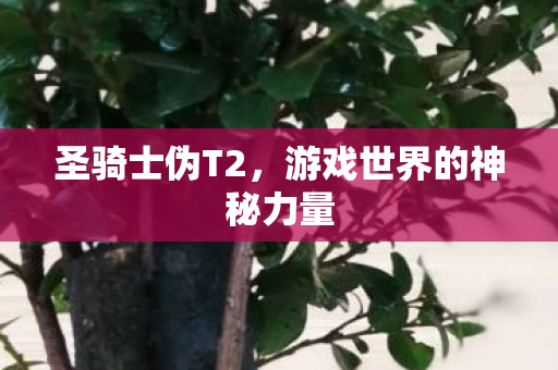 圣骑士伪T2,游戏世界的神秘力量 圣骑士伪T2,游戏世界的神秘力量