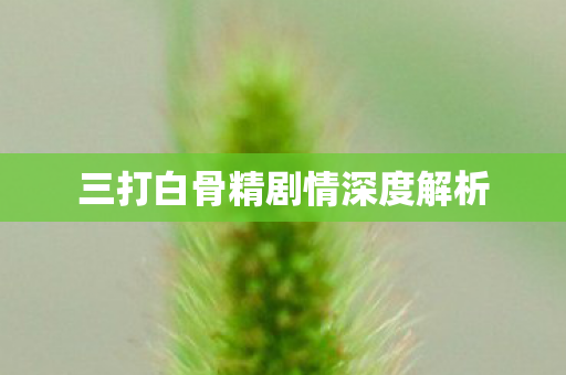 三打白骨精剧情深度解析 三打白骨精剧情深度解析