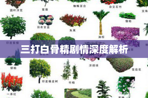 三打白骨精剧情深度解析 三打白骨精剧情深度解析